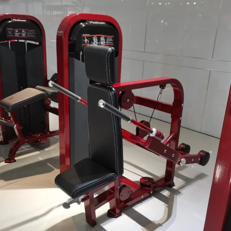 Трицепс сидя Realleader M2-1011B thumbnail