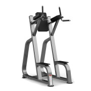 Брусья/пресс Realleader FW-2025 (черная рама, черная обивка)