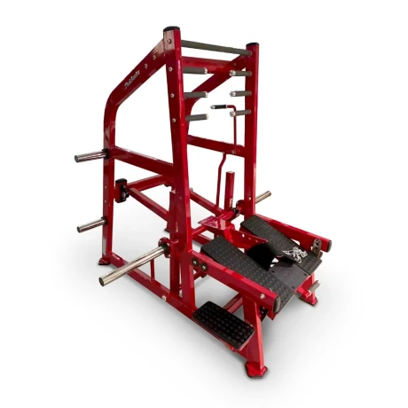 Приседания с поясом (колодец) на свободных весах Realleader LD-2004 (HSPro-2004) (красная рама, черная обивка) thumbnail