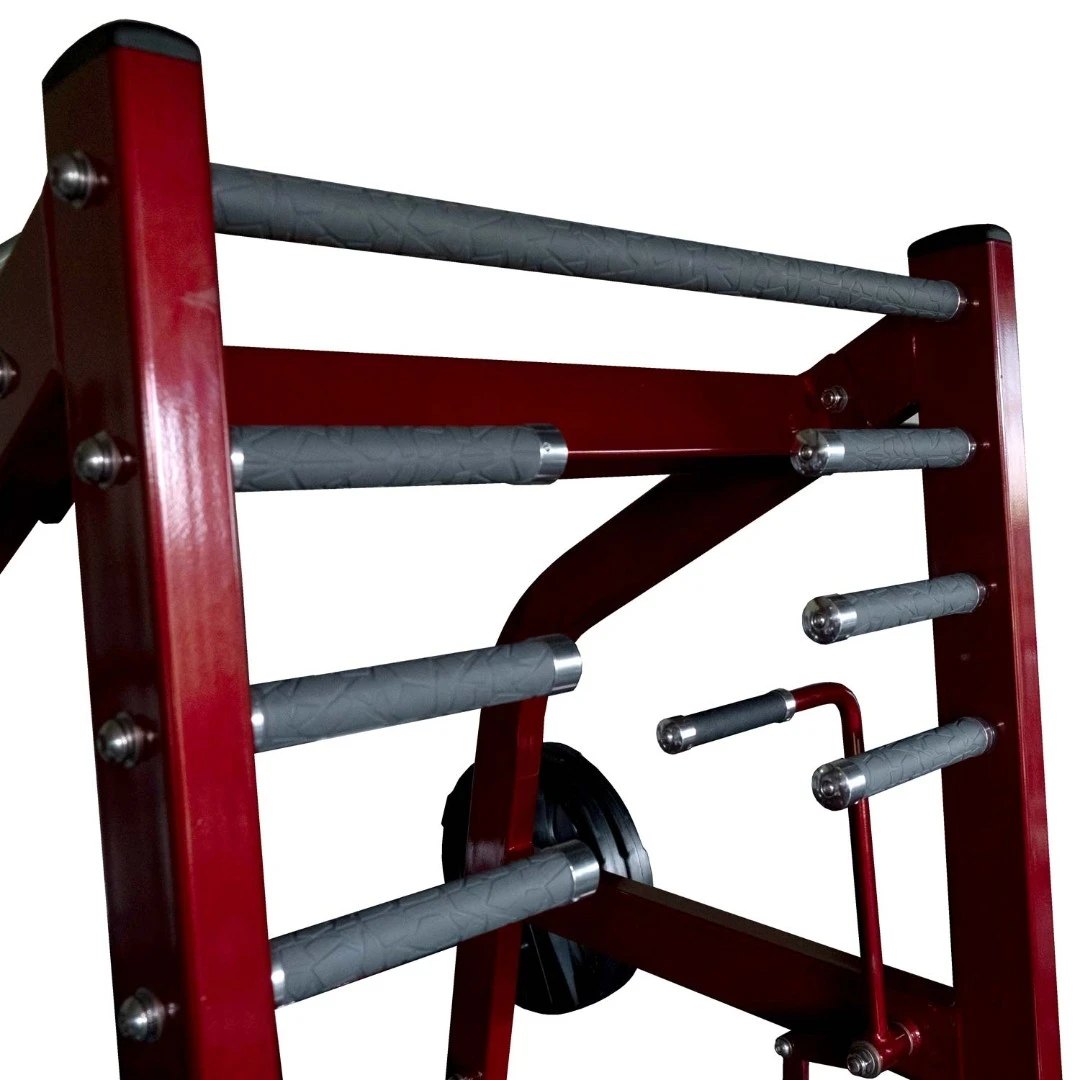 Приседания с поясом (колодец) на свободных весах Realleader LD-2004 (HSPro-2004) (красная рама, черная обивка)