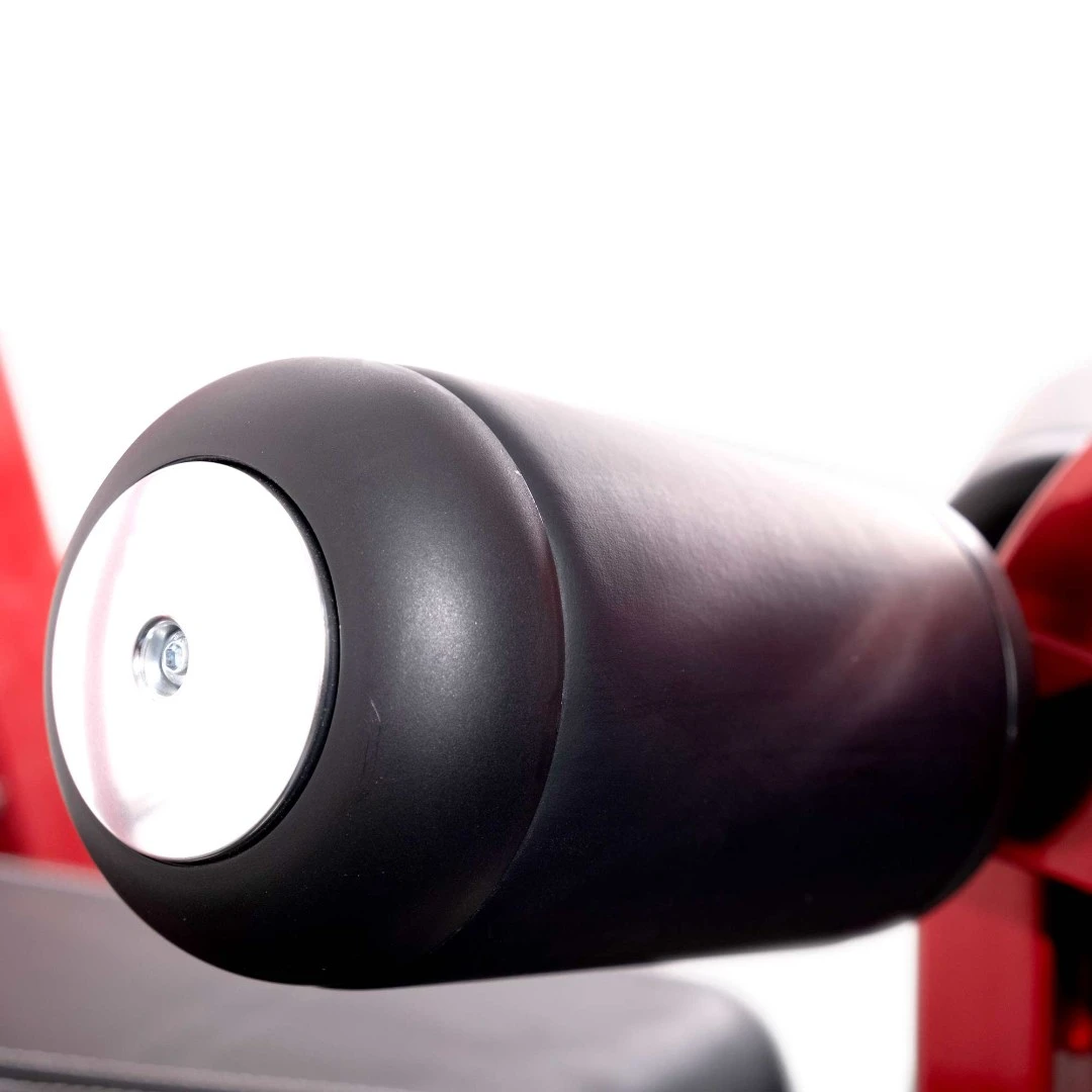 Вертикальная тяга на свободных весах Realleader LD-1012 (HSPro-1012) (красная рама, черная обивка)