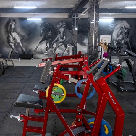 Гребная тяга на свободных весах Realleader RS-1011 (HS-1011) (красная рама) thumbnail