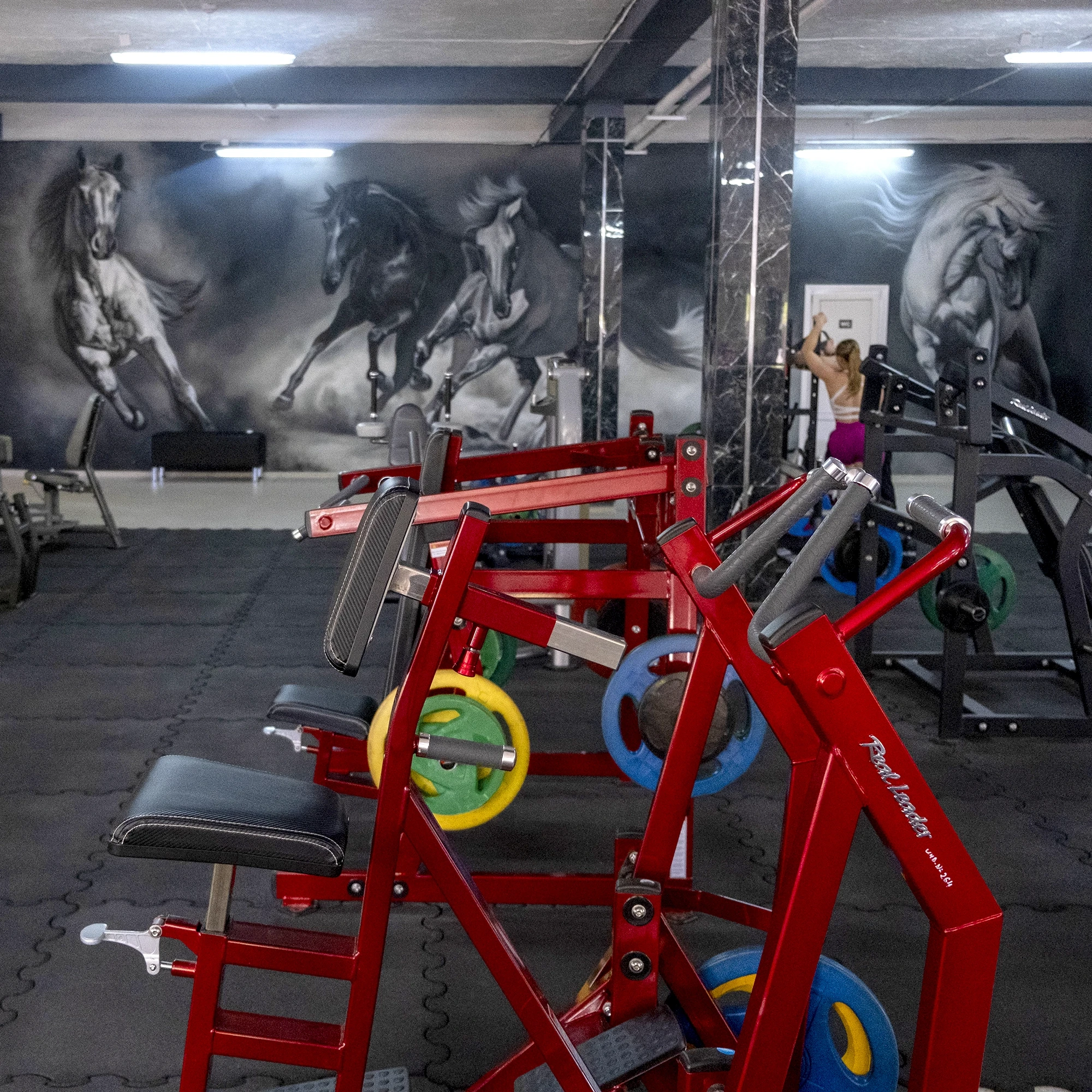 Гребная тяга на свободных весах Realleader RS-1011 (HS-1011) (красная рама)