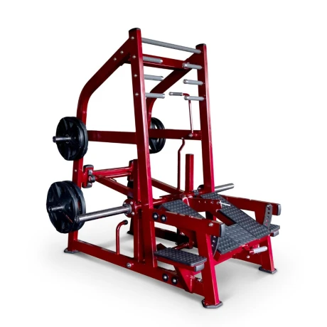 Приседания с поясом (колодец) на свободных весах Realleader LD-2004 (HSPro-2004)