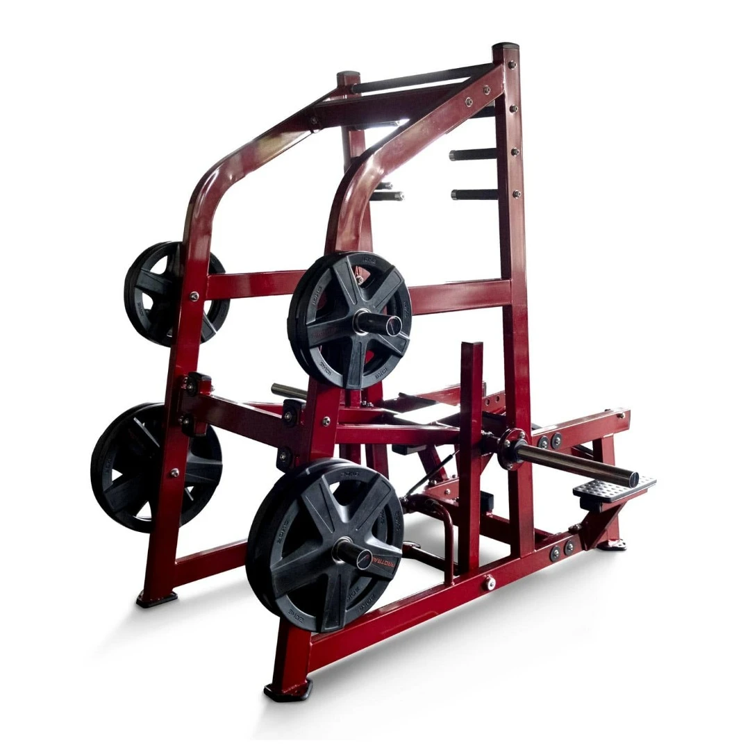 Приседания с поясом (колодец) на свободных весах Realleader LD-2004 (HSPro-2004)