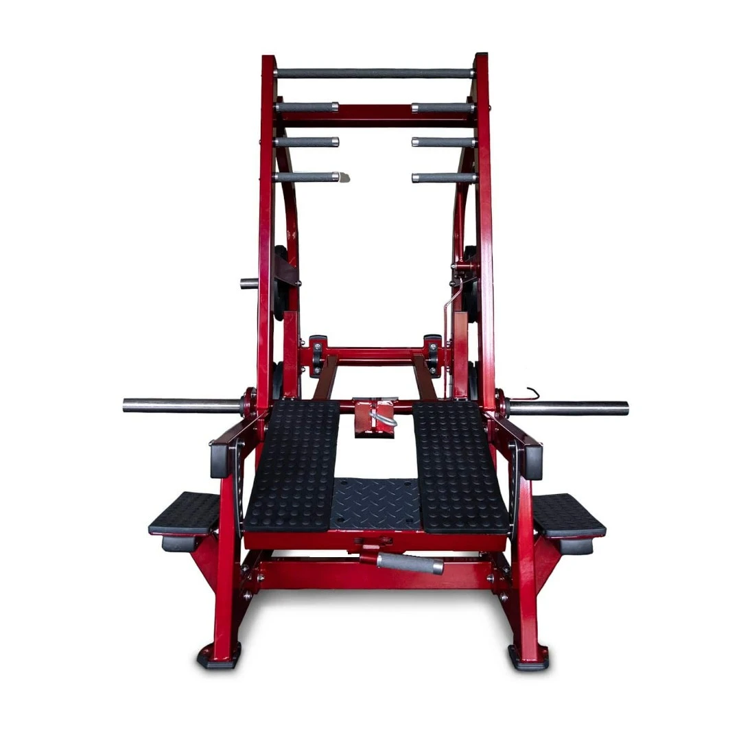 Приседания с поясом (колодец) на свободных весах Realleader LD-2004 (HSPro-2004)