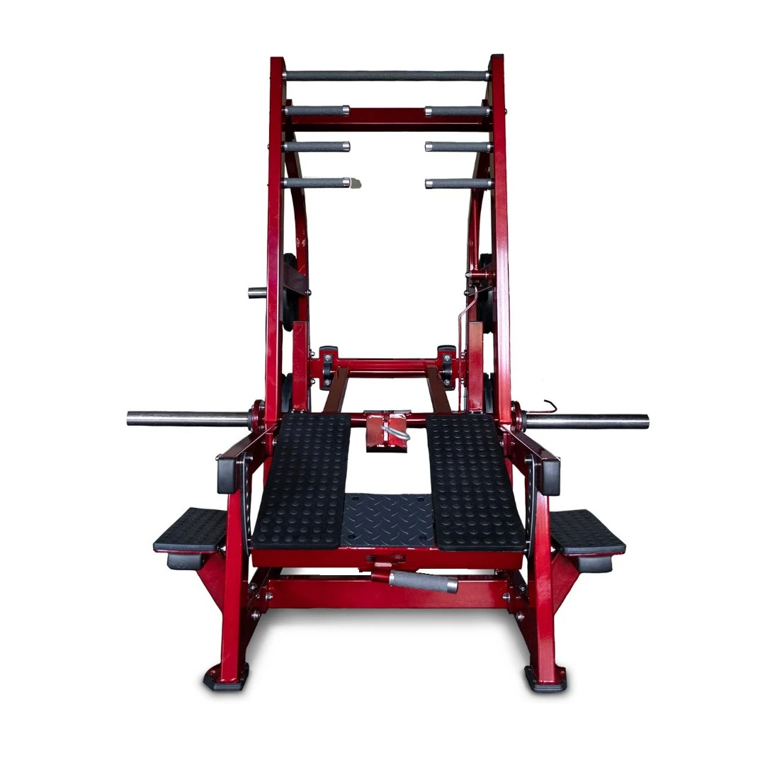 Приседания с поясом (колодец) на свободных весах Realleader LD-2004 (HSPro-2004)