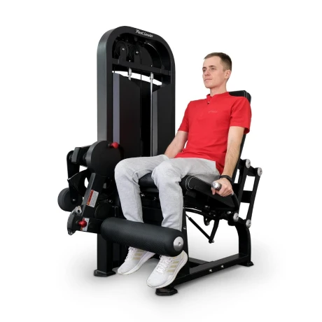 Разгибание ног Realleader M2-1005 thumbnail