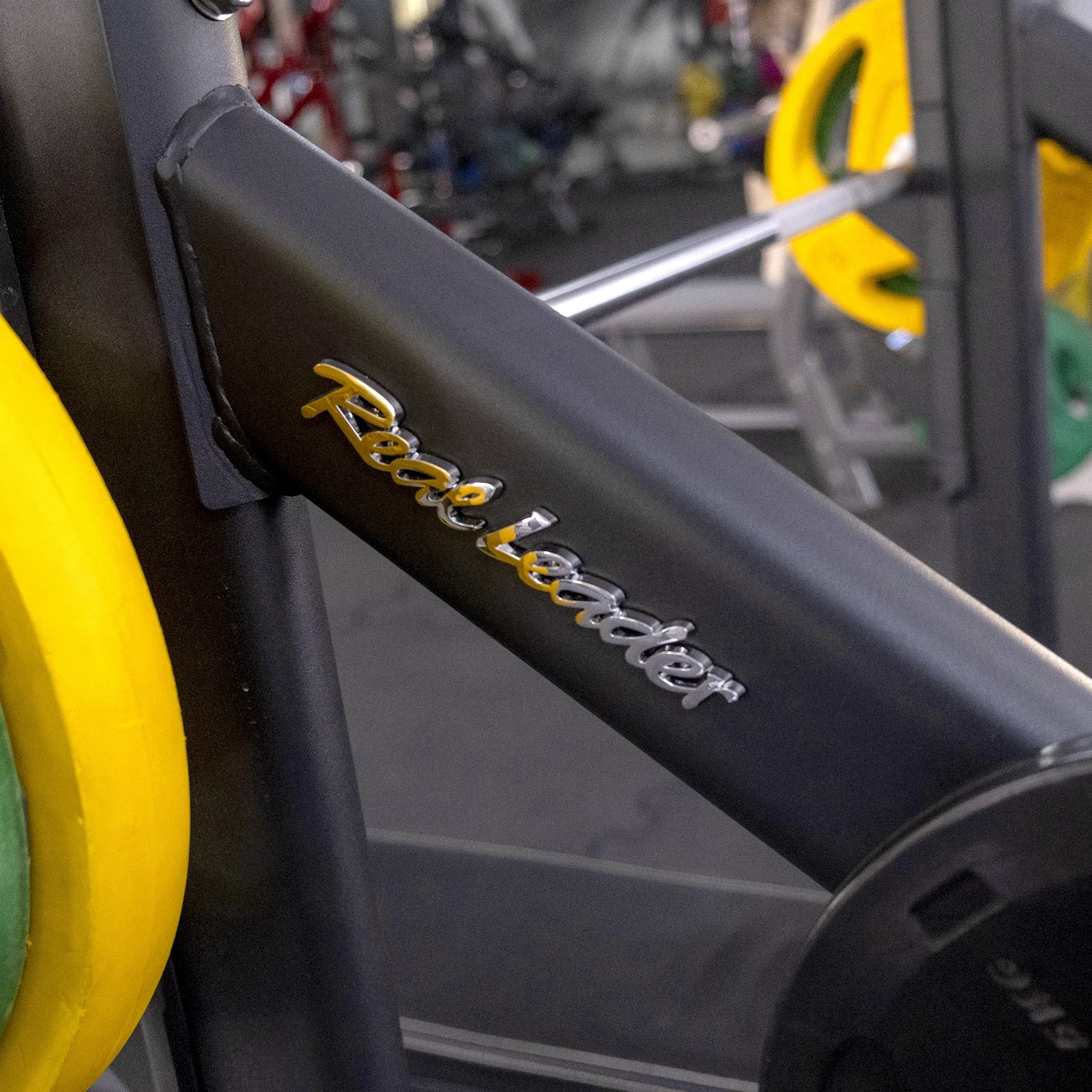 Скамья для жима Realleader FW-1001 (синяя рама, черная обивка)