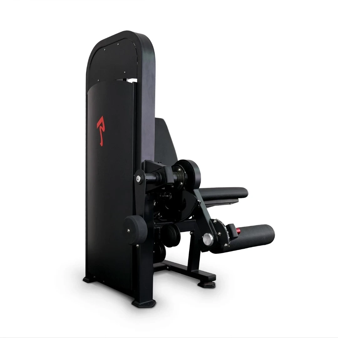 Разгибание ног Realleader M2-1005 (синяя рама, черная обивка)