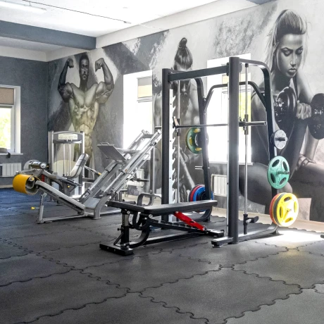 Машина Смита Realleader FM-2007 (синяя рама) thumbnail