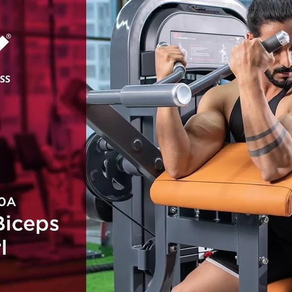 Бицепс сидя Realleader M2-1010A video preview
