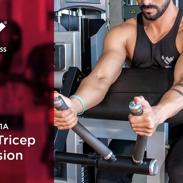 Трицепс сидя Realleader M2-1011A video preview