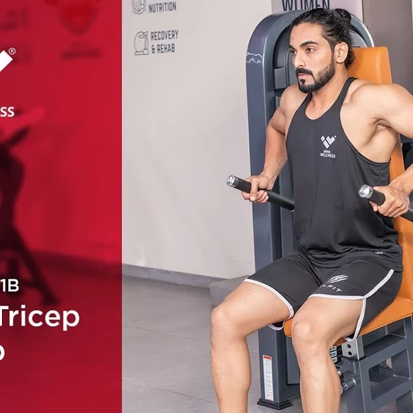 Трицепс сидя Realleader M2-1011B video preview