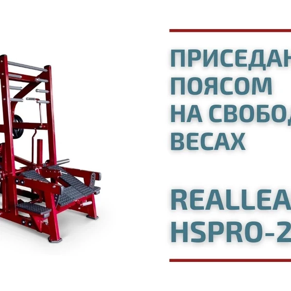Приседания с поясом (колодец) на свободных весах Realleader LD-2004 (HSPro-2004) (серая рама, черная обивка) video preview