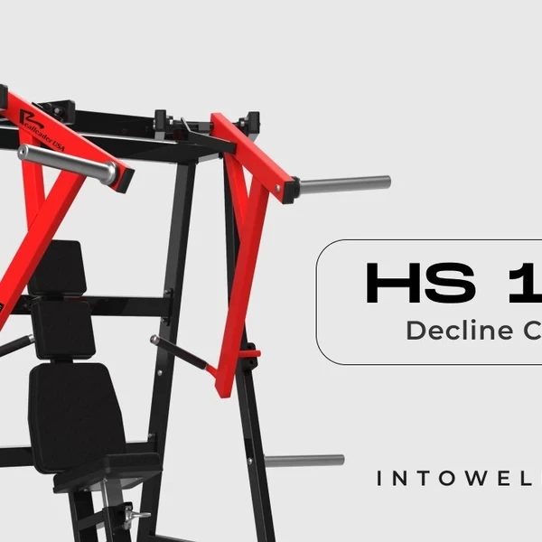 Грудной жим сидя на свободных весах Realleader RS-1003 (HS-1003) video preview