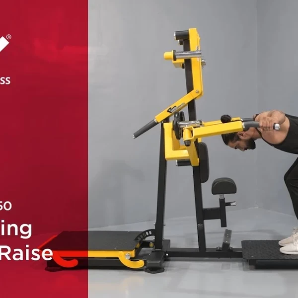 Многофункциональная дельт-машина Realleader RS-1050 (HS-1050) video preview