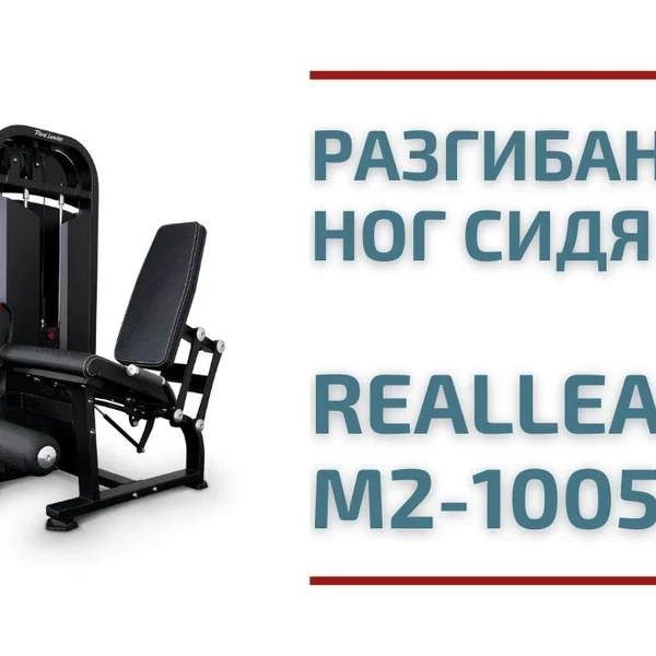 Разгибание ног Realleader M2-1005 (черная рама) video preview